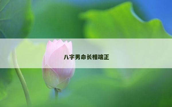 八字男命长相端正