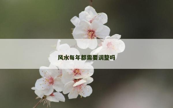 风水每年都需要调整吗