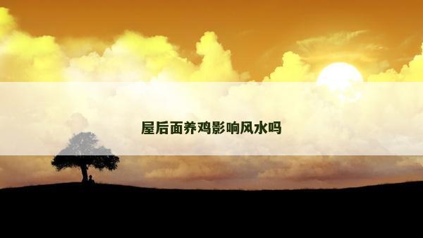 屋后面养鸡影响风水吗