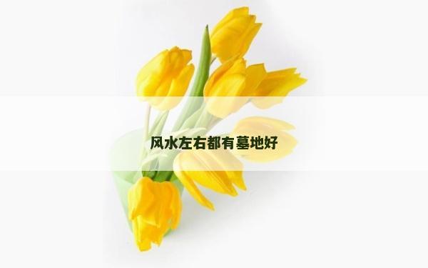 风水左右都有墓地好
