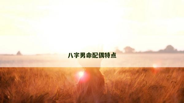 八字男命配偶特点
