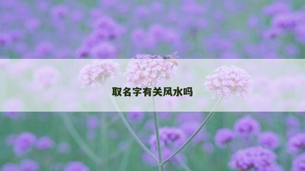 取名字有关风水吗