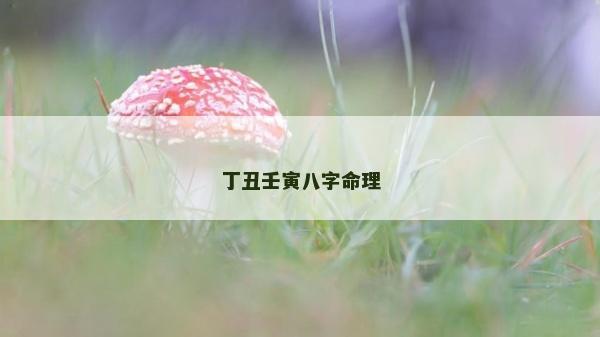 丁丑壬寅八字命理