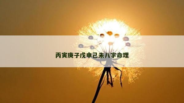 丙寅庚子戊申己未八字命理