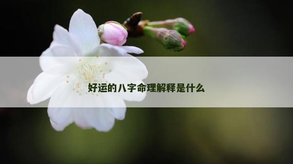 好运的八字命理解释是什么