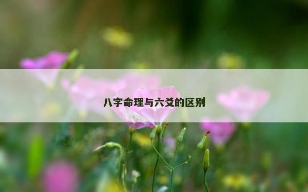 八字命理与六爻的区别