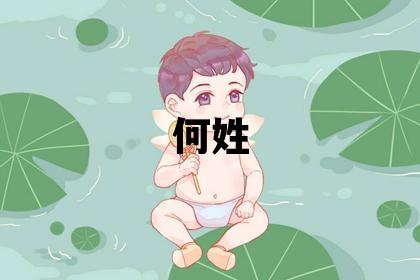 何姓优美大方的男宝宝名字