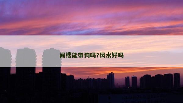 阁楼能带狗吗?风水好吗
