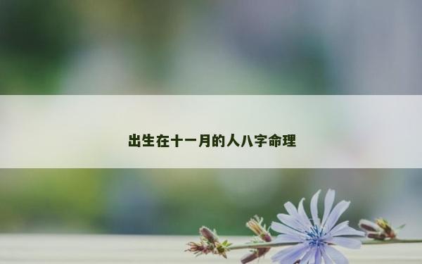 出生在十一月的人八字命理