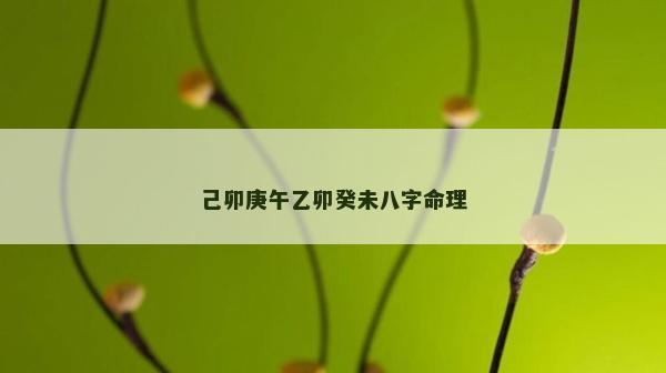 己卯庚午乙卯癸未八字命理