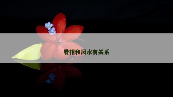看相和风水有关系