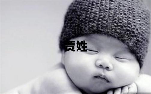 贾姓取名有新意的女宝宝名字