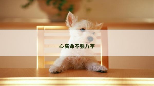 心高命不强八字