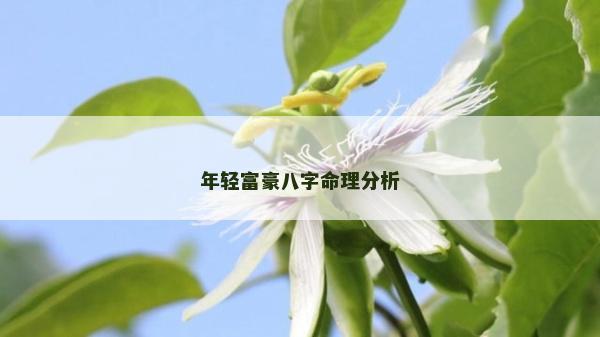 年轻富豪八字命理分析