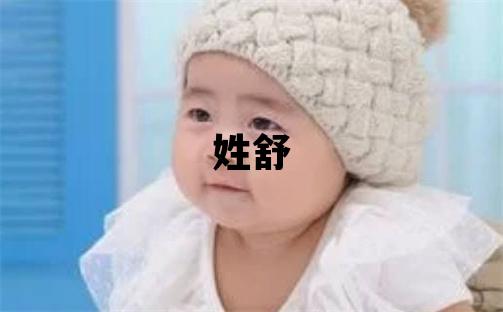 姓舒叫什么名字好 姓舒的男孩有智慧才气的名字
