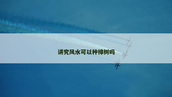 讲究风水可以种樟树吗