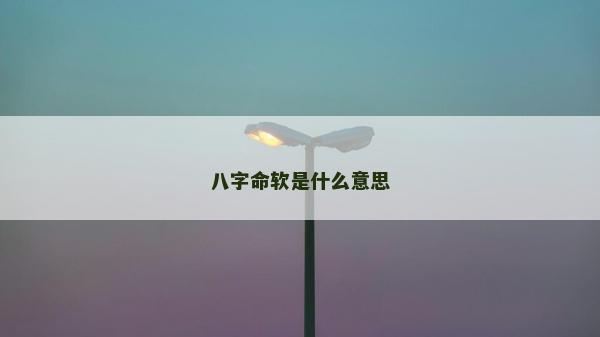 八字命软是什么意思