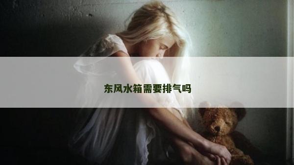 东风水箱需要排气吗