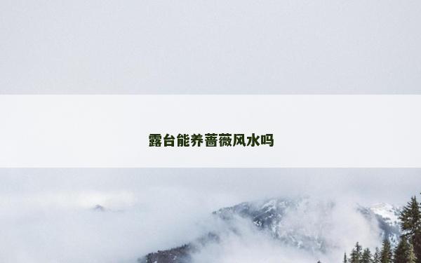 露台能养蔷薇风水吗