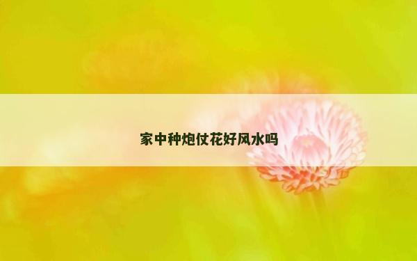 家中种炮仗花好风水吗