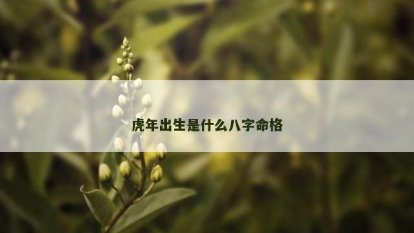 虎年出生是什么八字命格