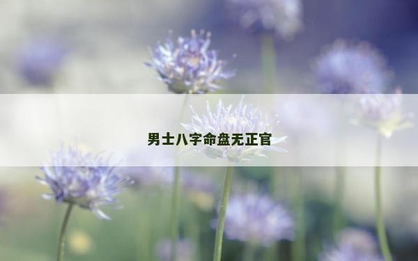 男士八字命盘无正官