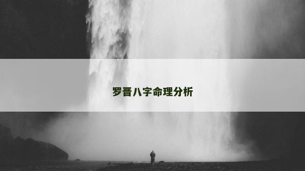 罗晋八字命理分析