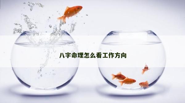 八字命理怎么看工作方向