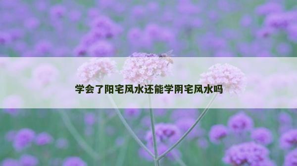 学会了阳宅风水还能学阴宅风水吗