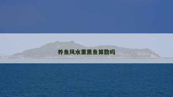 养鱼风水里黑鱼算数吗