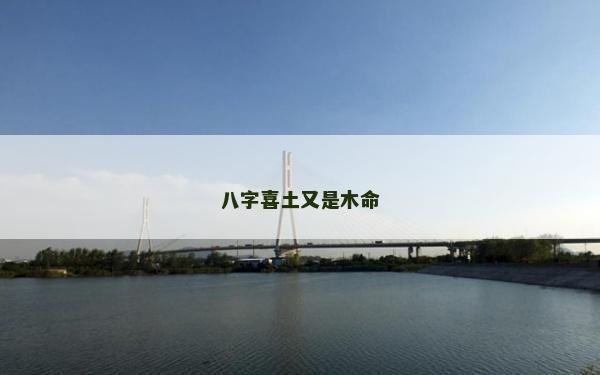 八字喜土又是木命