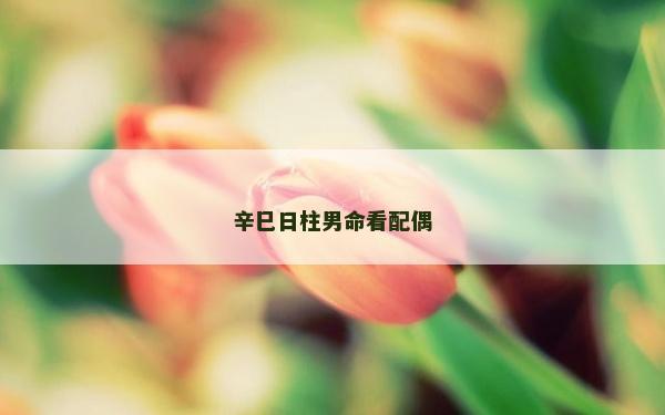 辛巳日柱男命看配偶
