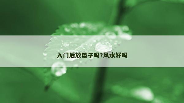 入门后放垫子吗?风水好吗