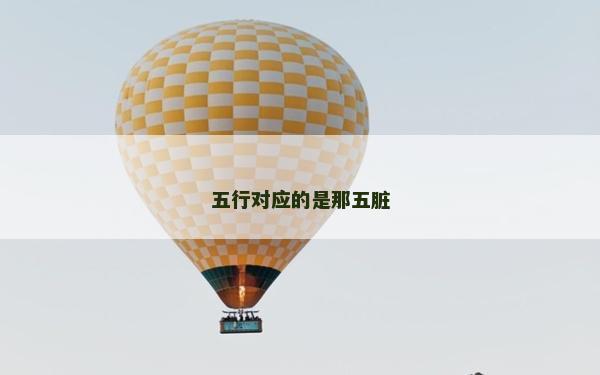 五行对应的是那五脏