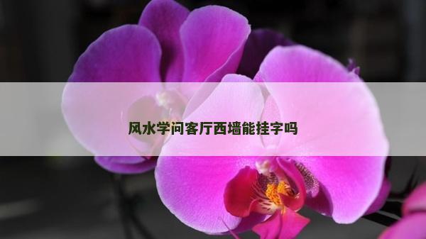 风水学问客厅西墙能挂字吗