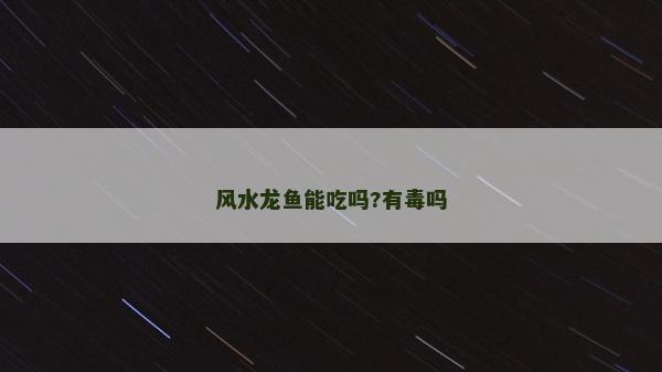 风水龙鱼能吃吗?有毒吗