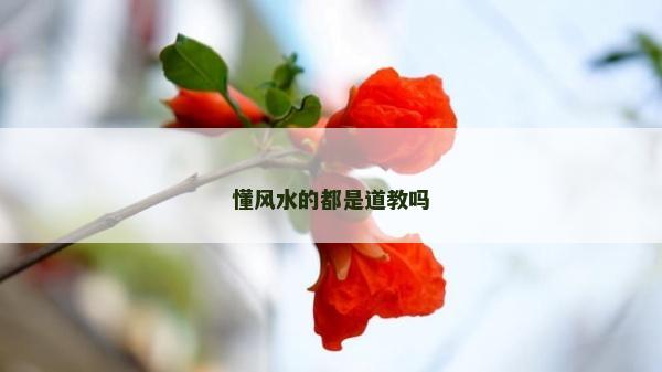 懂风水的都是道教吗