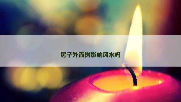 房子外面树影响风水吗