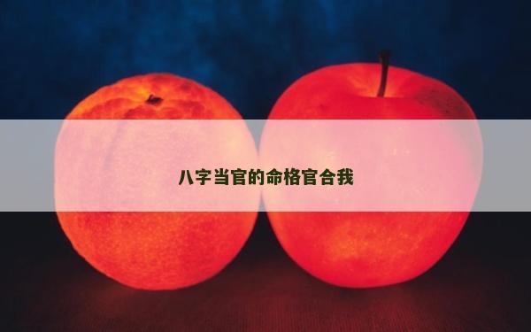 八字当官的命格官合我