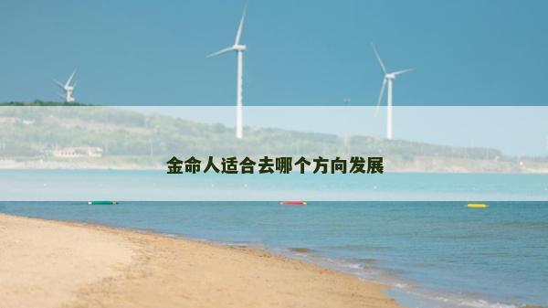 金命人适合去哪个方向发展