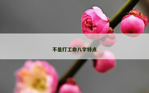 不是打工命八字特点