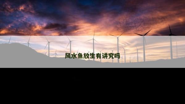 风水鱼放生有讲究吗