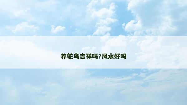 养鸵鸟吉祥吗?风水好吗