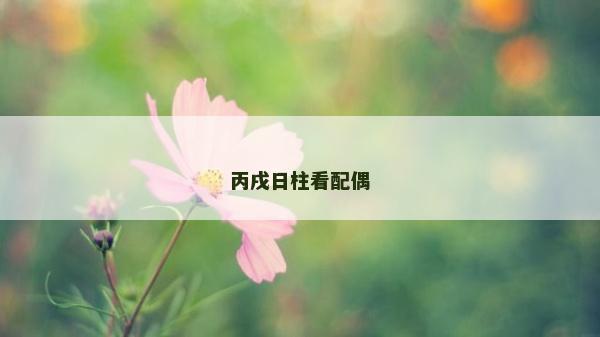 丙戌日柱看配偶