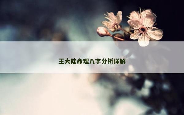 王大陆命理八字分析详解