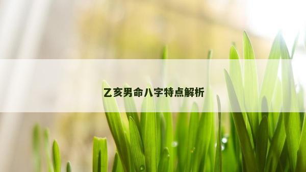 乙亥男命八字特点解析