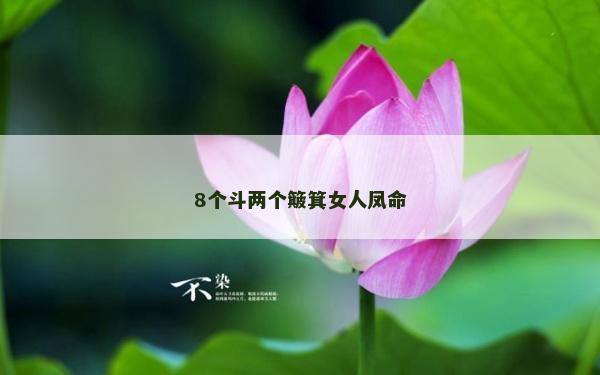 8个斗两个簸箕女人凤命