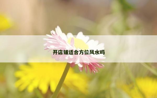 开店铺适合方位风水吗