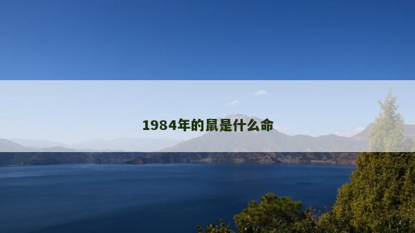 1984年的鼠是什么命