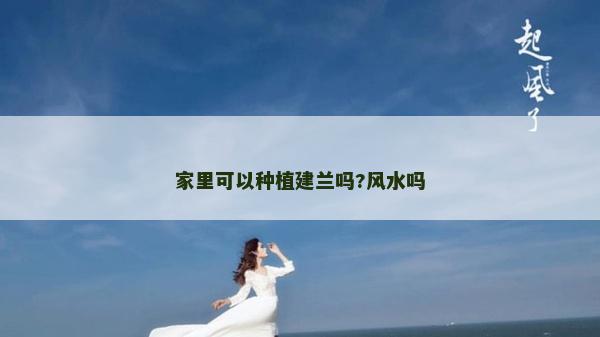 家里可以种植建兰吗?风水吗